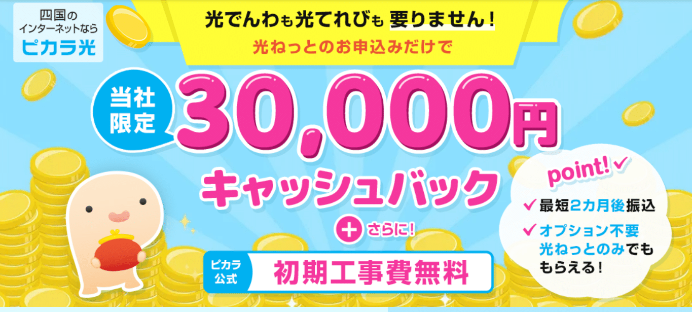 ピカラ光