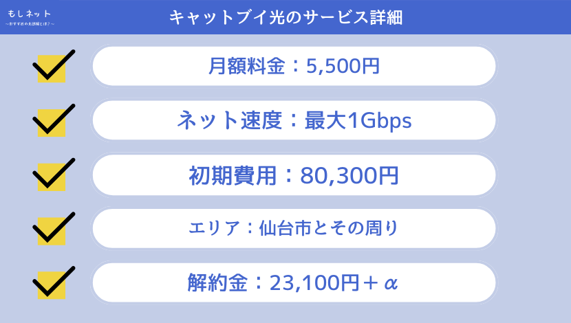 キャットブイ光のサービス詳細